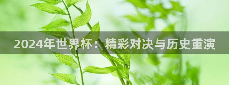 世界杯葡萄牙赛程：2024年世界杯：精彩对决与历史重演