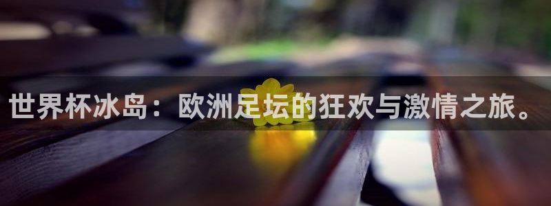 世界杯球队：世界杯冰岛：欧洲足坛的狂欢与激情之旅。