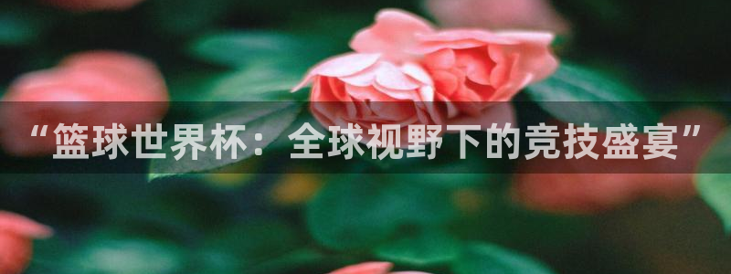 2026年世界杯赛程表时间：“篮球世界杯：全球视野下的竞技盛宴”