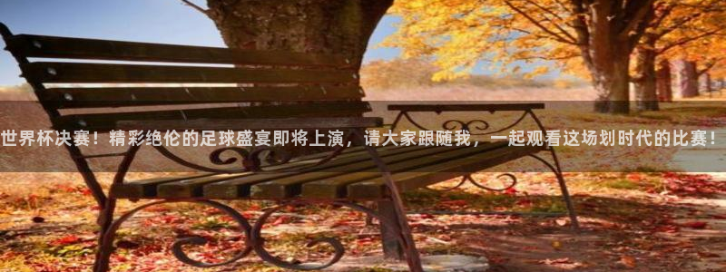 2026世界杯小组赛赛程时间表：世界杯决赛！精彩绝伦的足球盛宴即将上演，请大家跟随我，一起观看这场划时代的比赛！