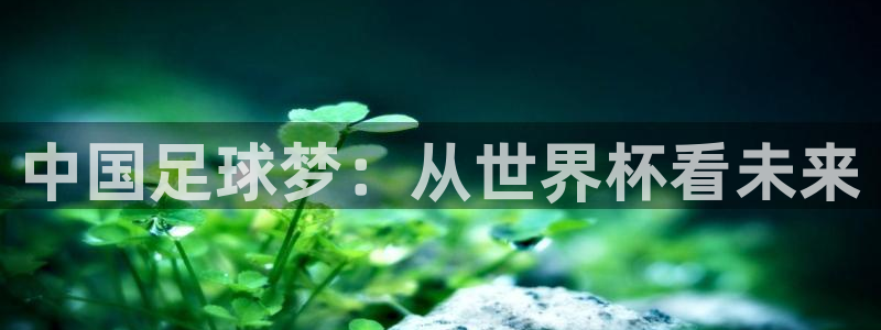 世界杯欧洲区赛程：中国足球梦：从世界杯看未来