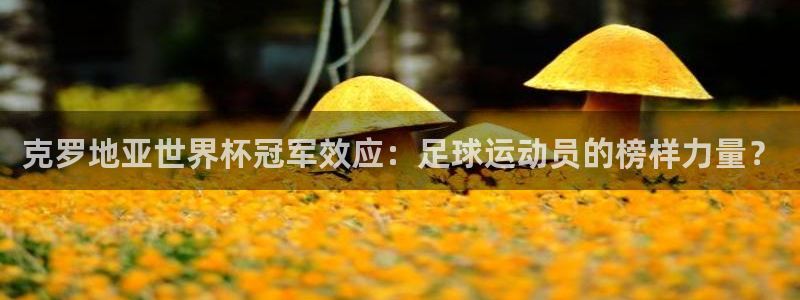 世界杯欧洲区赛程：克罗地亚世界杯冠军效应：足球运动员的榜样力量？