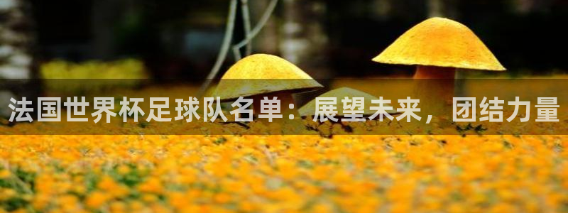 2026世界杯亚洲预选赛赛程：法国世界杯足球队名单：展望未来，团结力量