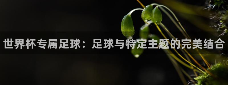 2006世界杯：世界杯专属足球：足球与特定主题的完美结合