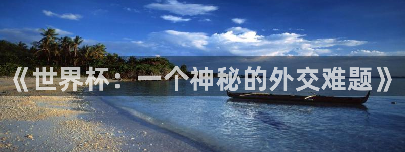 世界杯决赛预测：《世界杯：一个神秘的外交难题》
