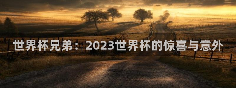 2026世预赛赛程表：世界杯兄弟：2023世界杯的惊喜与意外