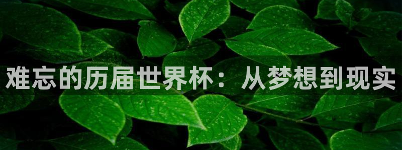 世界杯在线直播：难忘的历届世界杯：从梦想到现实